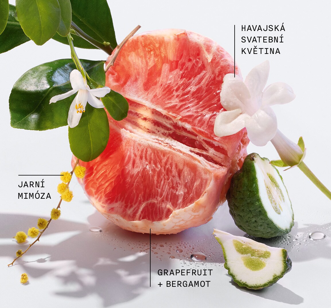 HAVAJSKÁ SVATEBNÍ KVĚTINA JARNÍ MIMÓZA GRAPEFRUIT + BERGAMOT